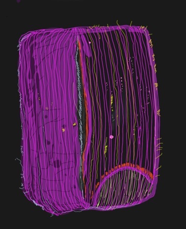 Digital 14